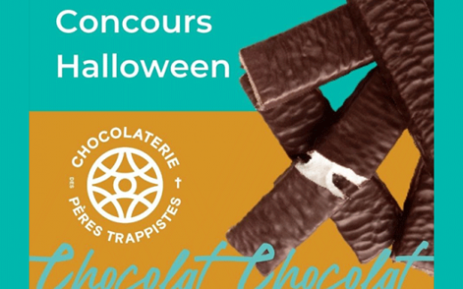 100 guimauves enrobées de chocolat noir livrées chez vous