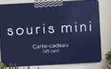 2 cartes-cadeaux Souris Mini de 200$