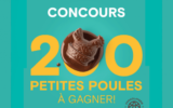 200 petites poules en chocolat