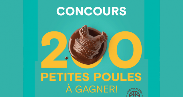200 petites poules en chocolat