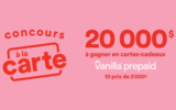 10 cartes cadeaux Visa Vanilla prépayées de 2000 $ chacune