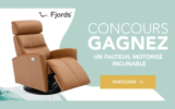 Un Fauteuil motorisé inclinable Fjords de 3400 $