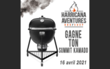 Un SUMMIT KAMADO de 1500 $