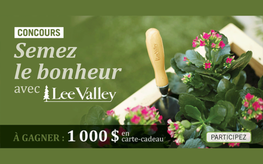 Une carte-cadeau Lee Valley de 1000 $