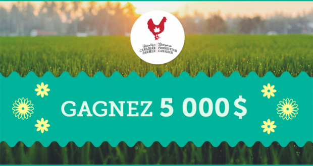 5 000 $ en argent comptant