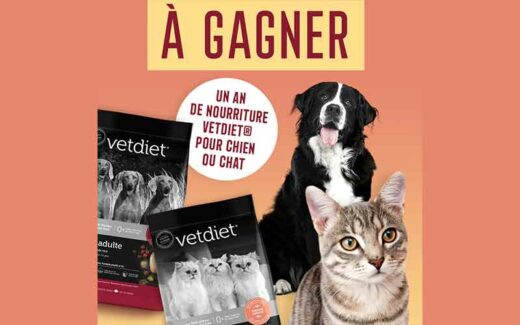 Un an de nourriture Vetdiet Canada (1210 $)