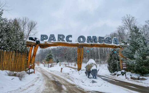 Un séjour en famille au Parc Oméga