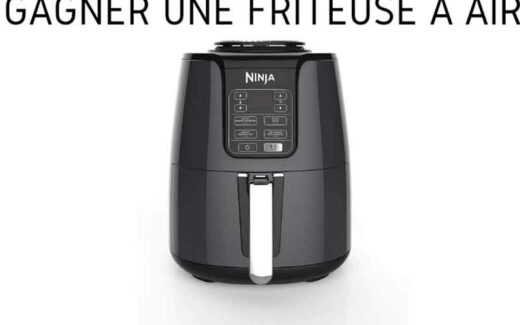 Une Friteuse à Air Chaud