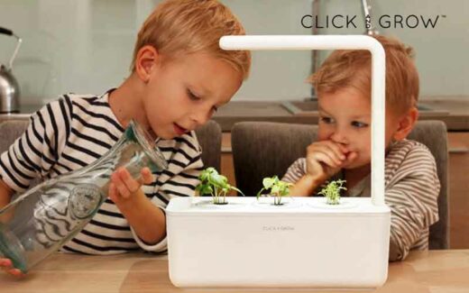 Une jardinière intelligente Click & Grow