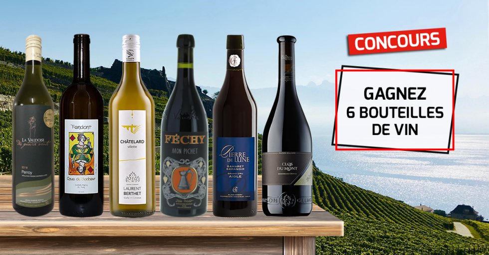 Un délicieux coffret de 6 bouteilles de vin