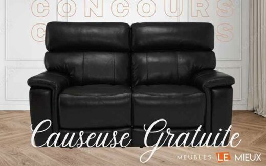 Une Causeuse de Palliser (4099 $)