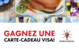 10 cartes prépayées Visa de 100 $