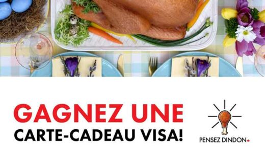 10 cartes prépayées Visa de 100 $