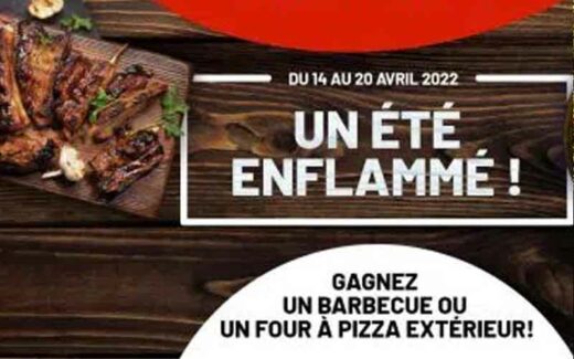 Un four à pizza extérieur ou un barbecue