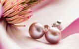 Une paire de boucles d’oreilles de perles d’eau douce roses