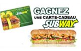 15 cartes-cadeaux Subway de 100 $ chacune