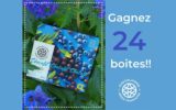 24 boîtes bleuets enrobés de chocolat noir