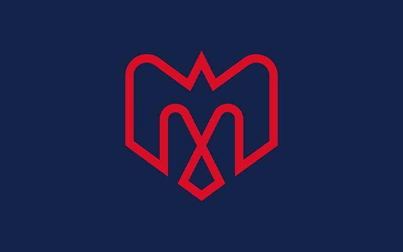 4 paires de billets du match de football des Alouettes de Montréal