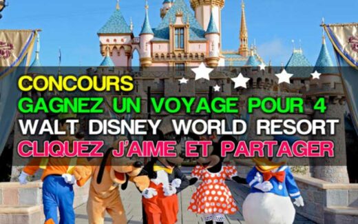 4 voyages pour 4 à Walt Disney World (11 000 $ chacun)