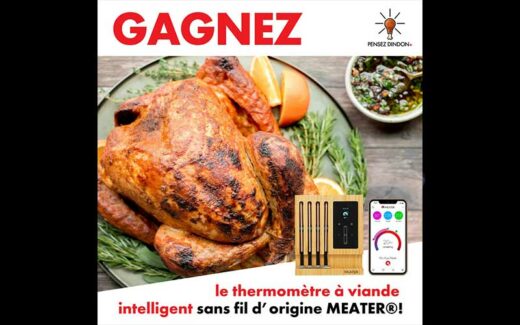 10 thermomètres à viande intelligent sans fil