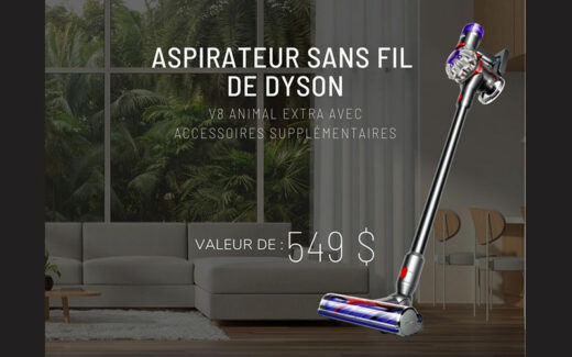 Un aspirateur sans fil Dyson V8 Animal Extra de 549 $