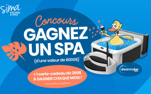 Un spa Dreammaker de 6000 $