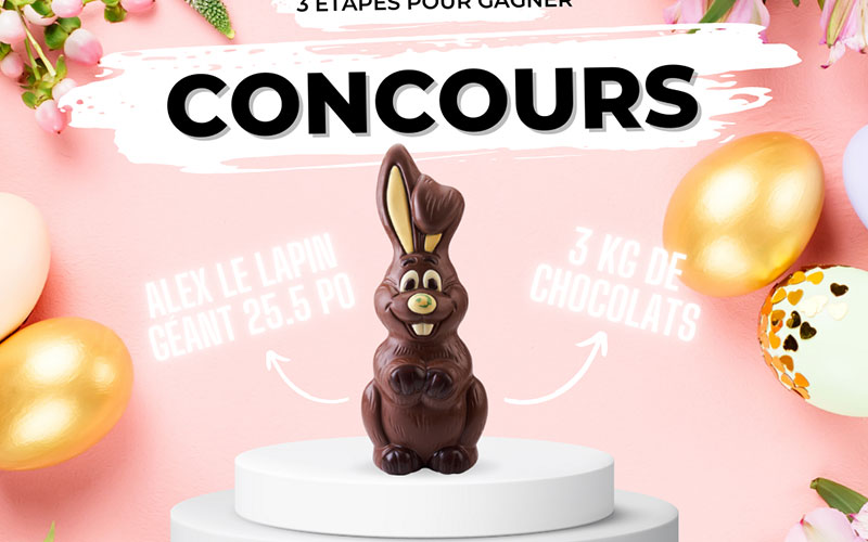 Un lapin géant Chocolats Favoris de 3kg (2 gagnants)