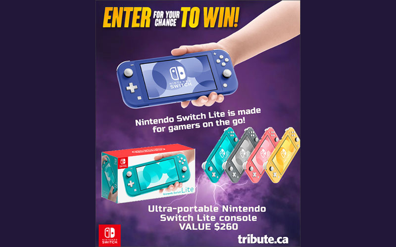 Une Nintendo Switch Lite de 260 $