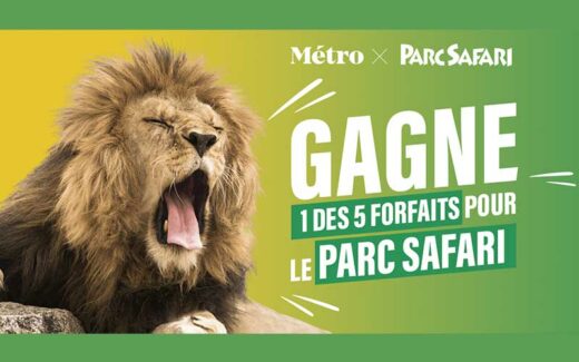 5 forfaits famille pour le Parc Safari