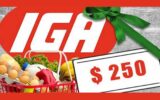40 cartes cadeaux IGA de 250 $