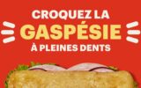 Un voyage en Gaspésie pour 2 personnes (4000 $)