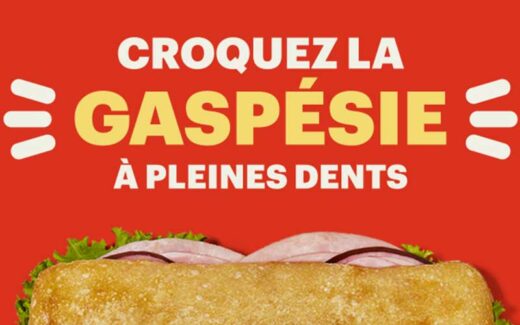 Un voyage en Gaspésie pour 2 personnes (4000 $)
