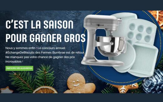 Un batteur sur socle KitchenAid de 640 $