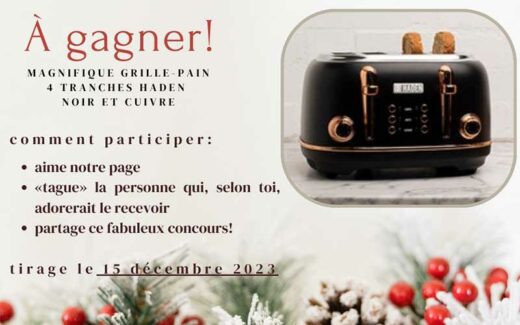 Un grille-Pain Haden noir et cuivre