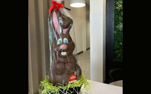 Un lapin géant 3 kg de Chocolat favoris