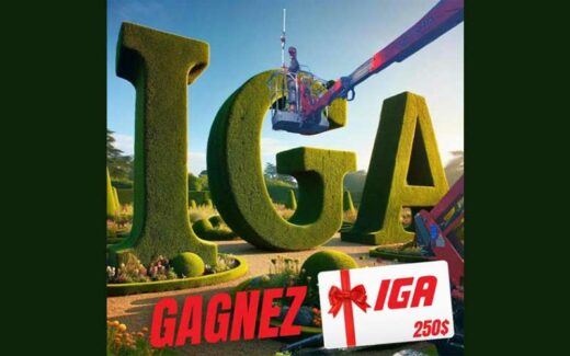 Une carte cadeau épicerie IGA de 250 $