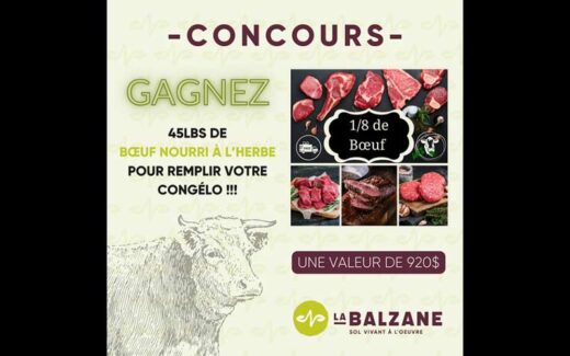 Remportez 1/8 de bœuf local nourri à l'herbe (920 $)