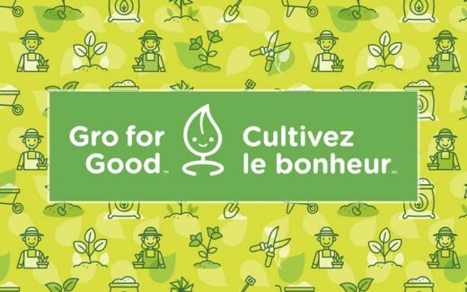 Gagnez un assortiment de produits Scotts et Miracle-Gro (500 $)