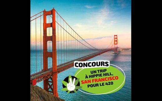 Voyage à San Francisco pour célébrer le 420