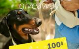 Gagnez une carte cadeau de 100 $ Beonebreed
