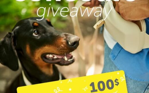 Gagnez une carte cadeau de 100 $ Beonebreed