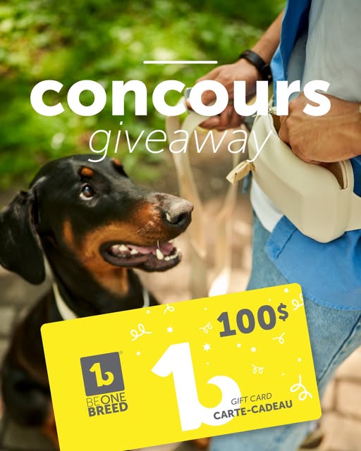Gagnez une carte cadeau de 100 $ Beonebreed