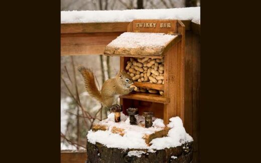 Gagnez un séjour inoubliable de 2 nuits dans un magnifique chalet