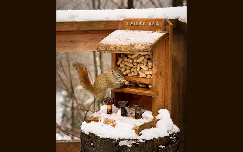 Gagnez un séjour inoubliable de 2 nuits dans un magnifique chalet