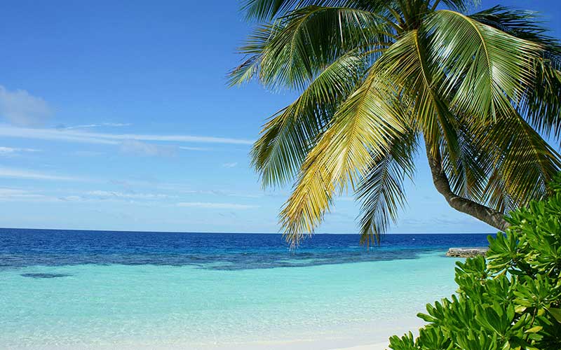 Gagnez 5000$ pour votre prochain voyage avec Air Canada