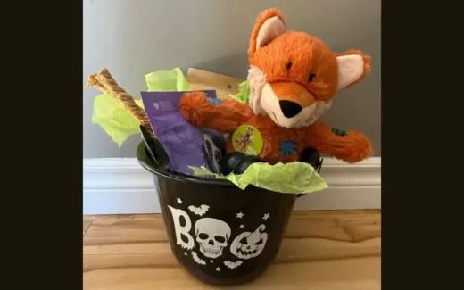 Gagnez un panier cadeau rempli de jouets et gâteries pour chiens