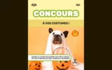 Gagnez une carte-cadeau Pattes Et Griffes de 100$