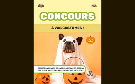 Gagnez une carte-cadeau Pattes Et Griffes de 100$