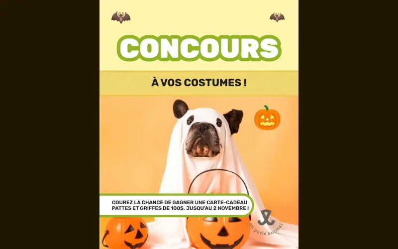Gagnez une carte-cadeau Pattes Et Griffes de 100$