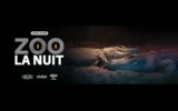 Gagnez une expérience nocturne mémorable au Zoo de Granby